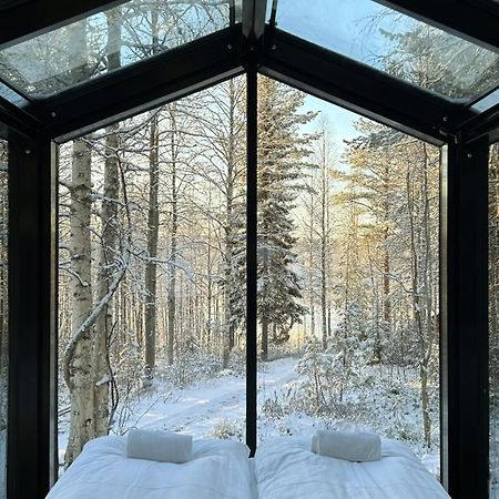 Sky Lodging ~ Sleeping Under The Stars Rovaniemi Luaran gambar