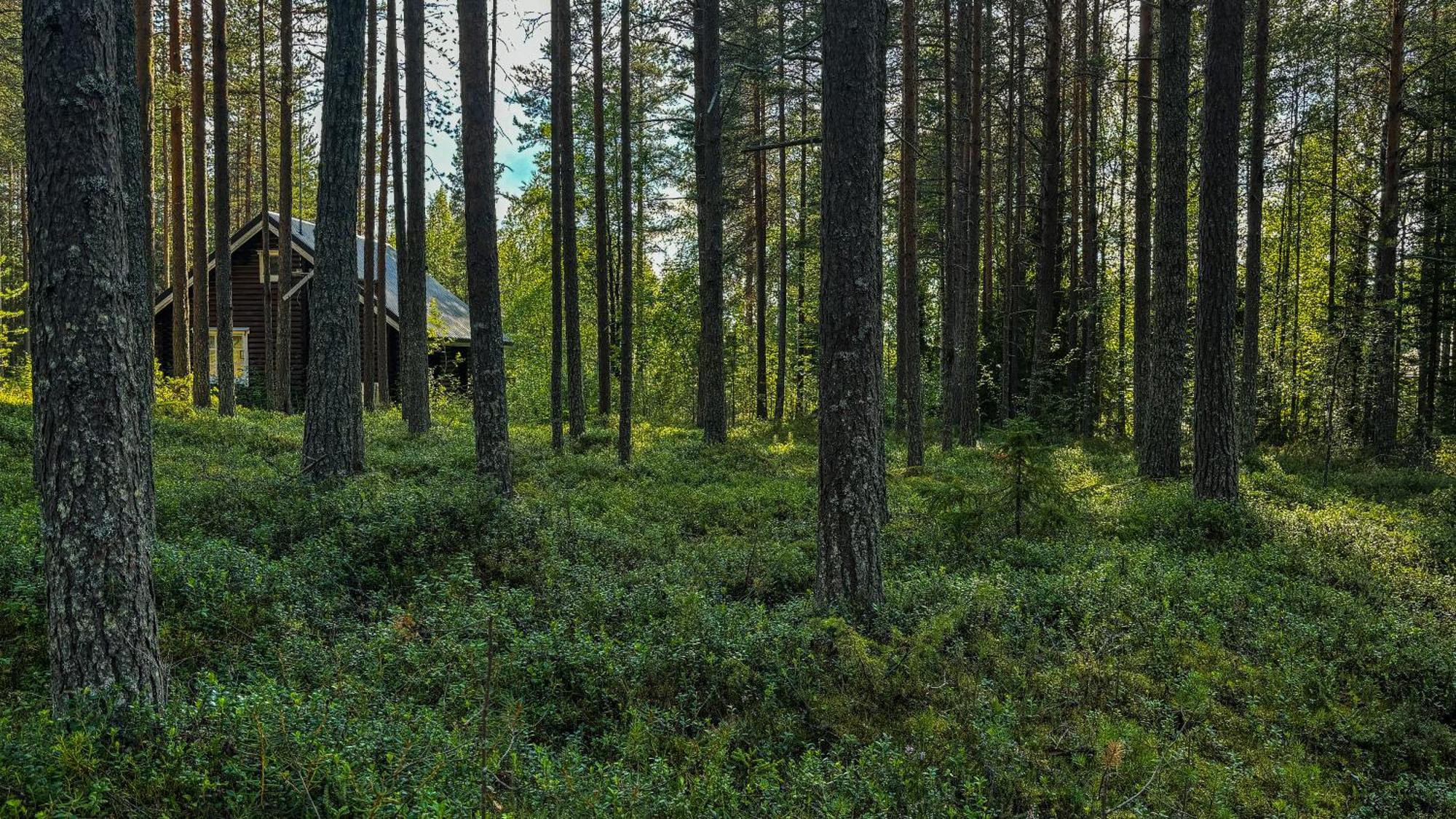 Sky Lodging ~ Sleeping Under The Stars Rovaniemi Luaran gambar