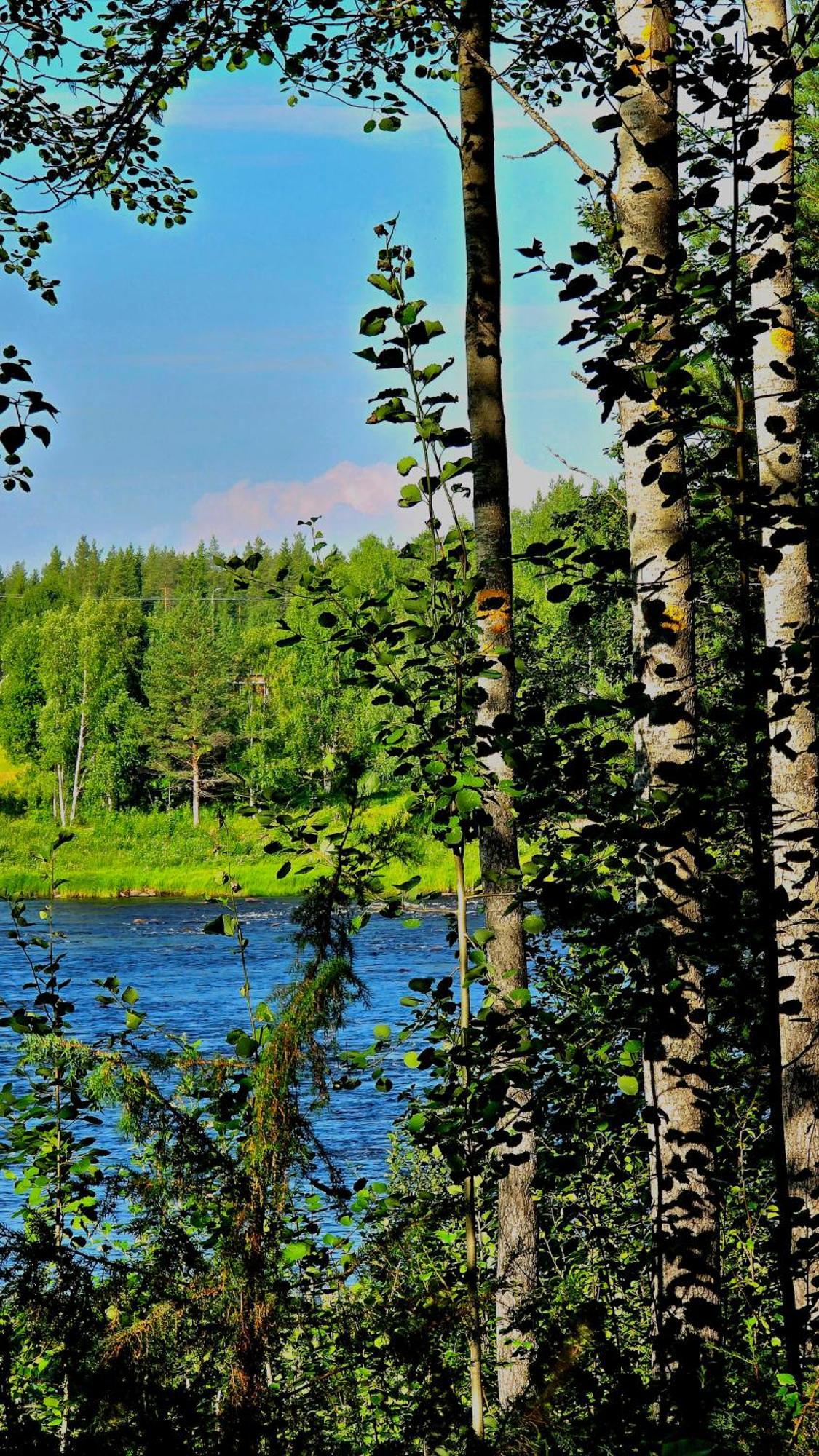 Sky Lodging ~ Sleeping Under The Stars Rovaniemi Luaran gambar