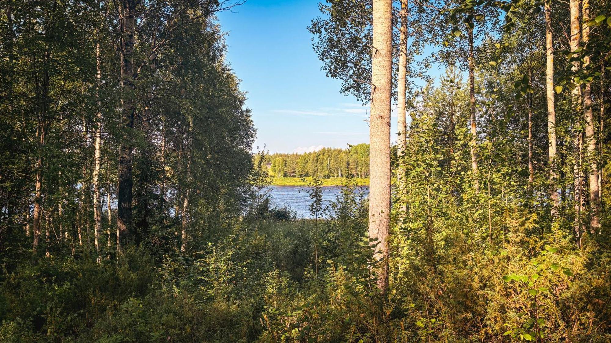 Sky Lodging ~ Sleeping Under The Stars Rovaniemi Luaran gambar