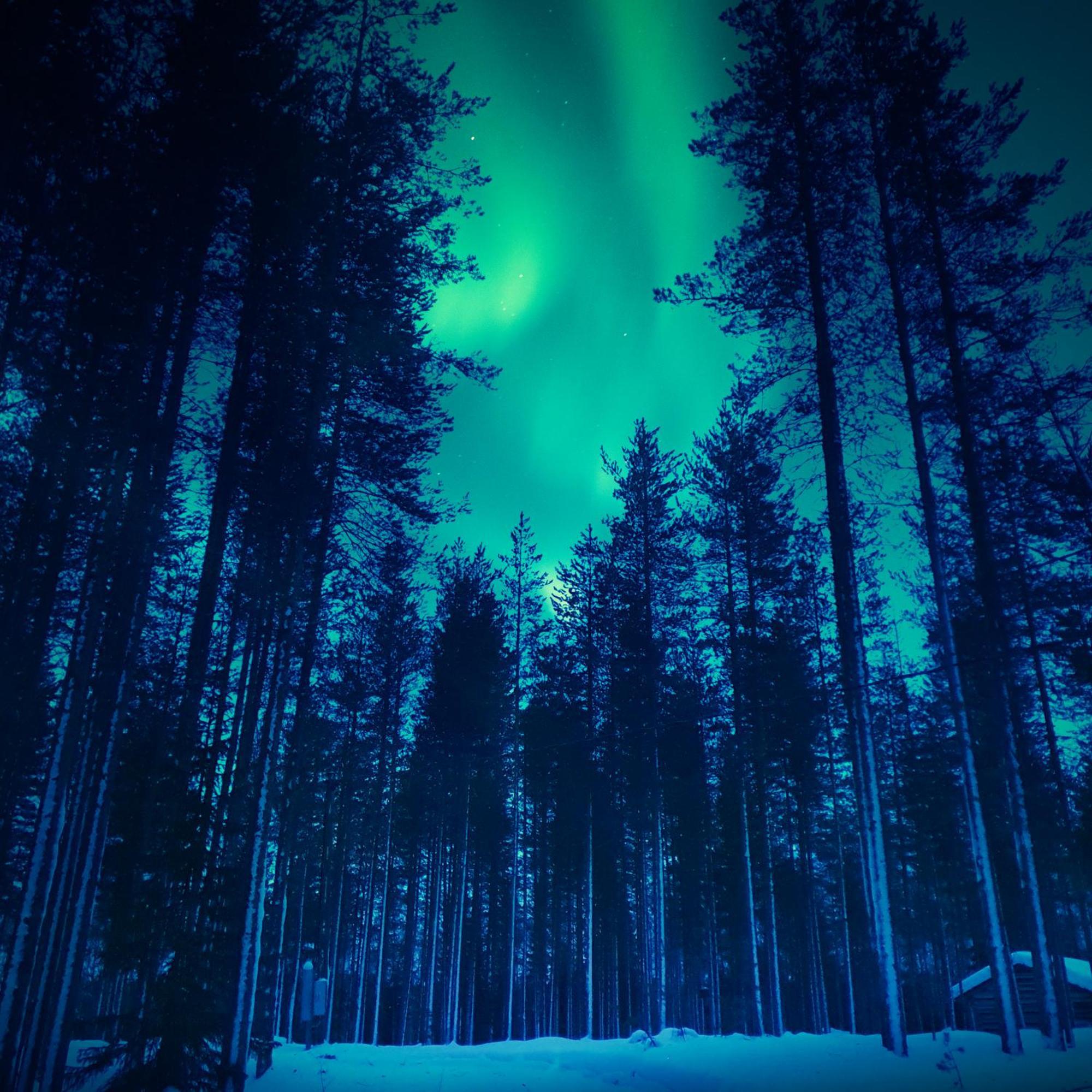 Sky Lodging ~ Sleeping Under The Stars Rovaniemi Luaran gambar
